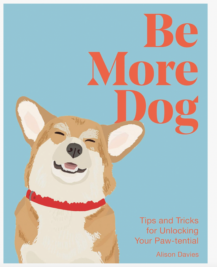Be More Dog
