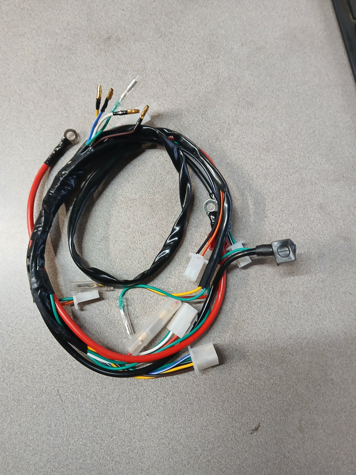 Universal Wiring Harness 50cc - 125cc Atv pit bike