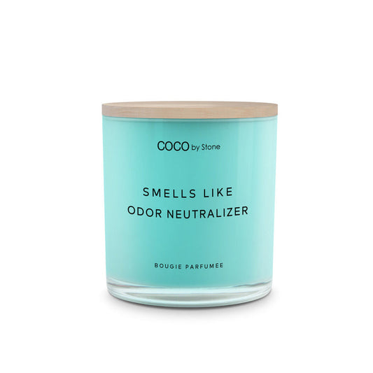 11oz Smells Like Odor Neutralizer Candle