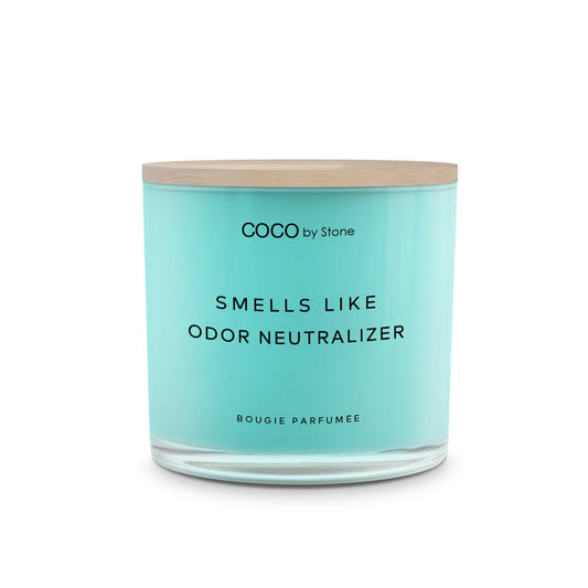 15oz Smells Like Odor Neutralizer Candle