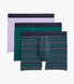 Sand Verbena / Multi Stripe / Rain Forest Swatch