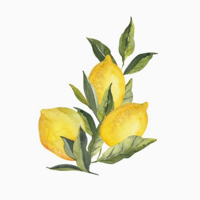 Acrylic Napkin Weight, Lemons
