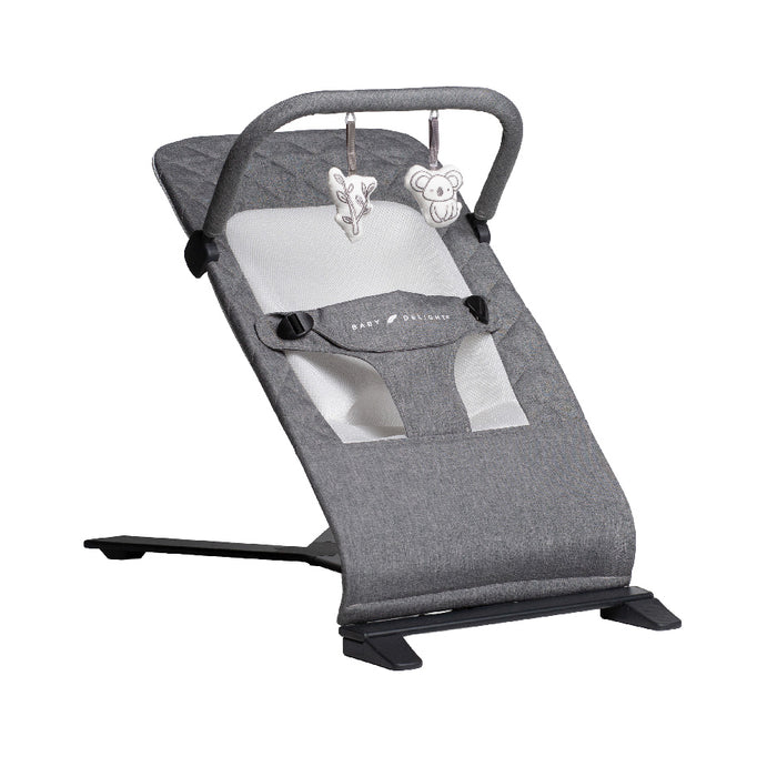 Alpine Deluxe Portable Bouncer - Baby Delight