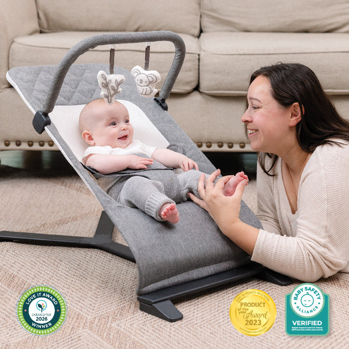Alpine Deluxe Portable Bouncer - Baby Delight