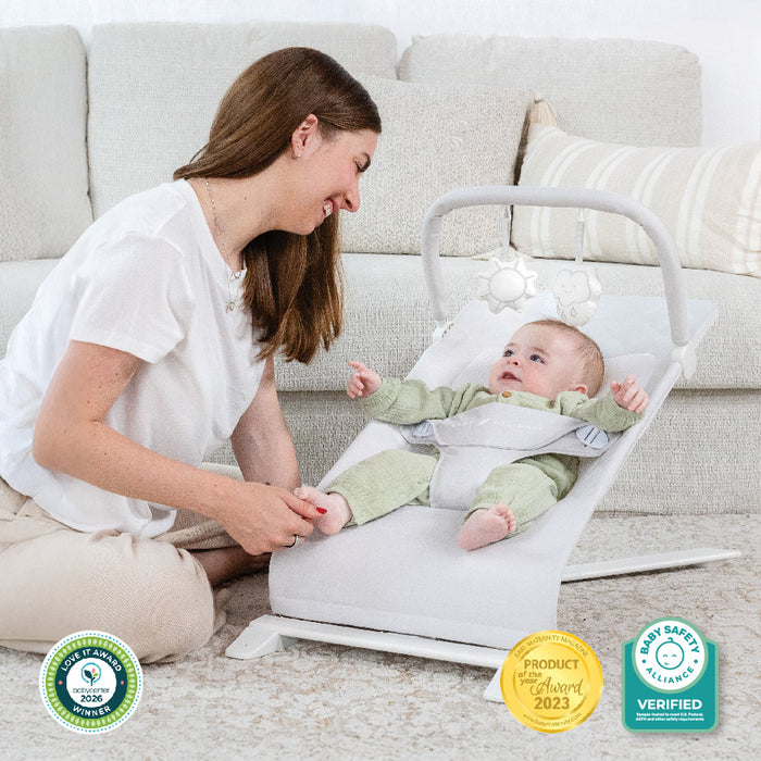Alpine Deluxe Portable Bouncer - Baby Delight