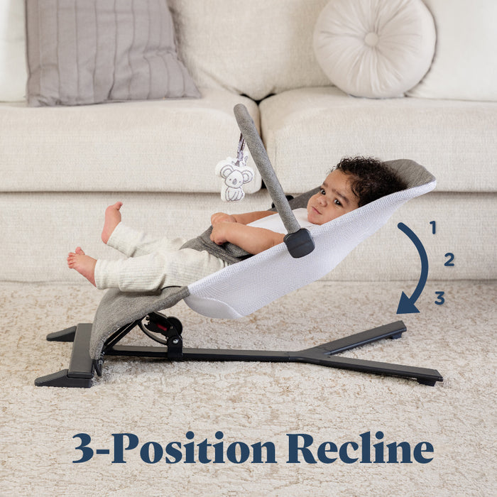 Alpine Deluxe Portable Bouncer - Baby Delight