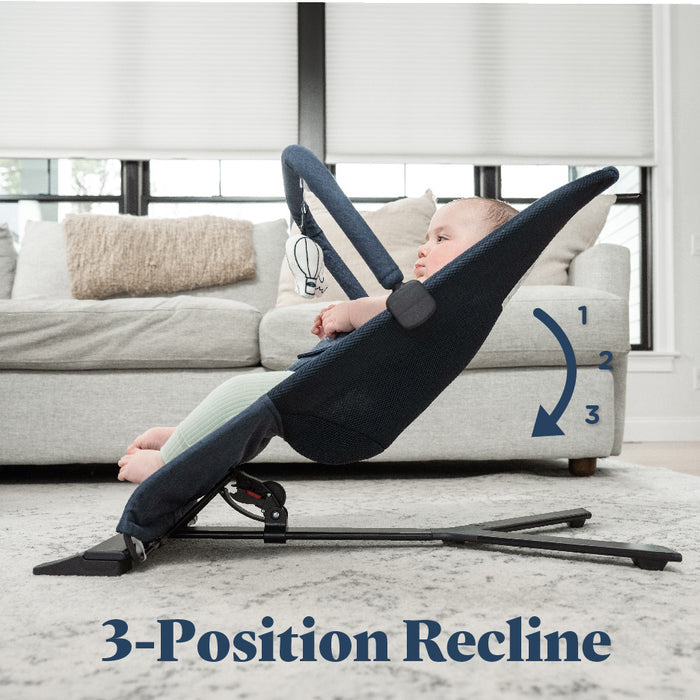 Alpine Deluxe Portable Bouncer - Baby Delight