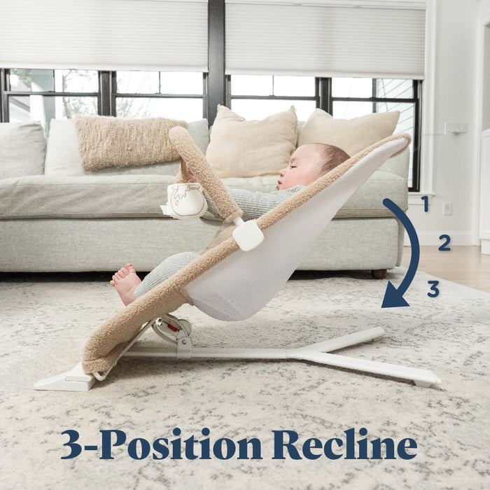 Alpine Deluxe Portable Bouncer - Baby Delight