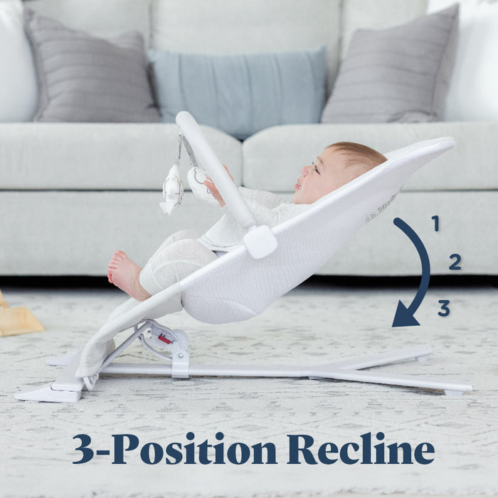 Alpine Deluxe Portable Bouncer - Baby Delight