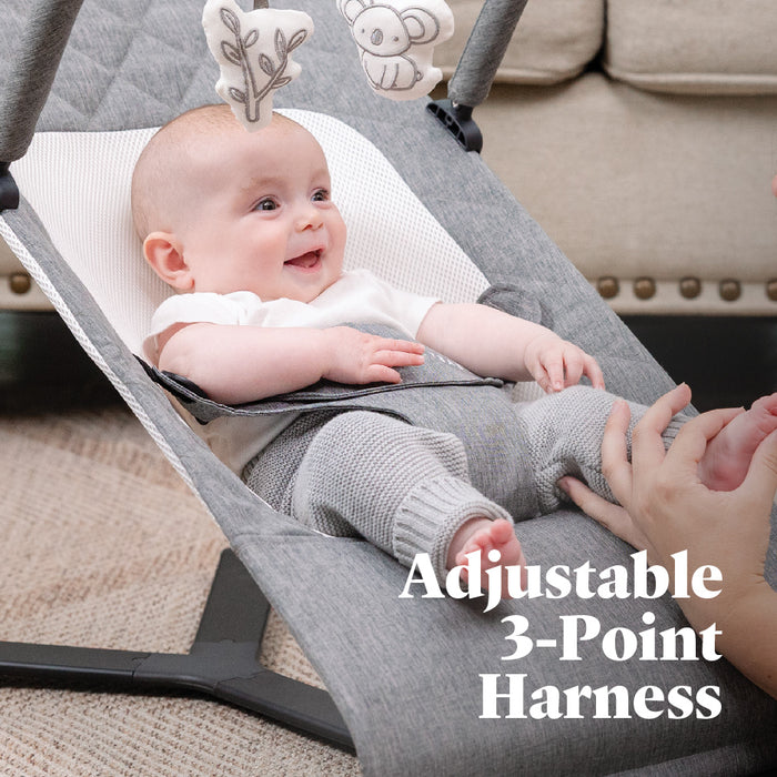 Alpine Deluxe Portable Bouncer - Baby Delight