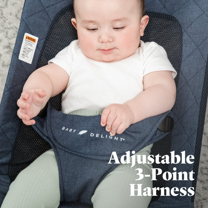 Alpine Deluxe Portable Bouncer - Baby Delight