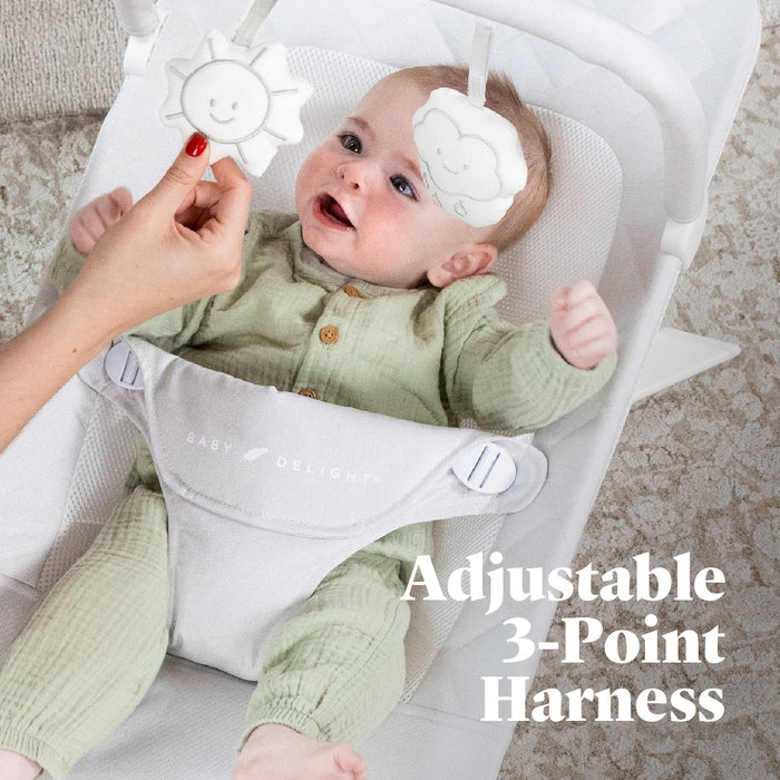 Alpine Deluxe Portable Bouncer - Baby Delight