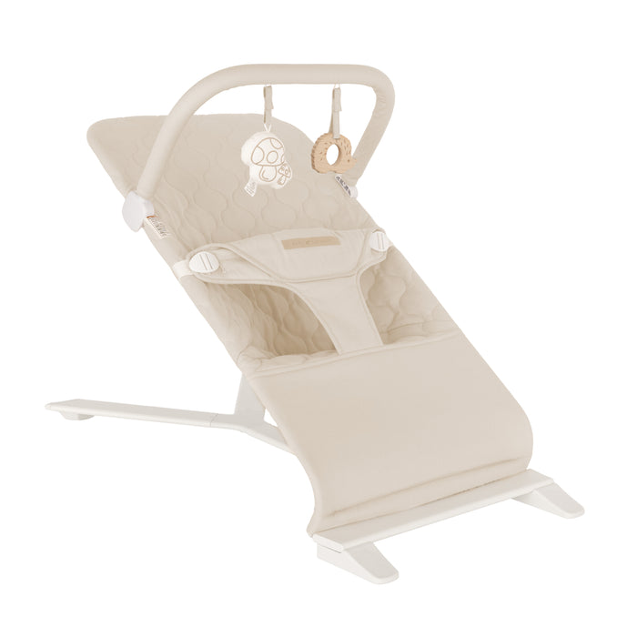 Alpine Organic Deluxe Portable Bouncer - Baby Delight