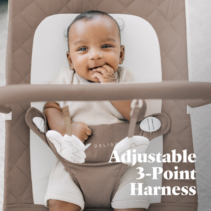 Alpine Organic Deluxe Portable Bouncer - Baby Delight