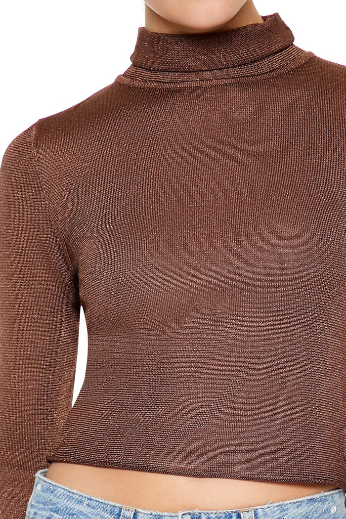 Glitter Knit Turtleneck Crop Top