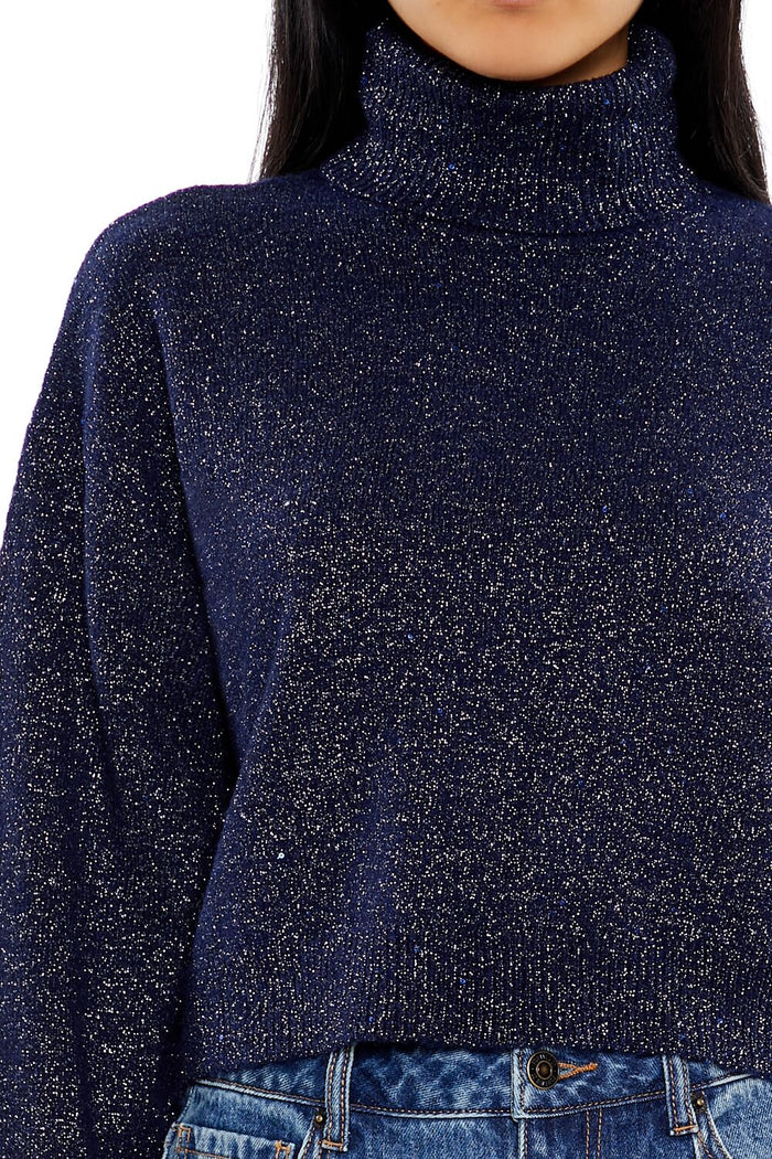 Glitter Knit Turtleneck Sweater