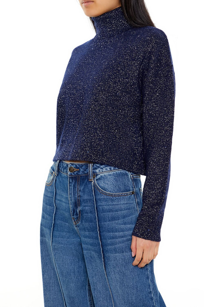 Glitter Knit Turtleneck Sweater