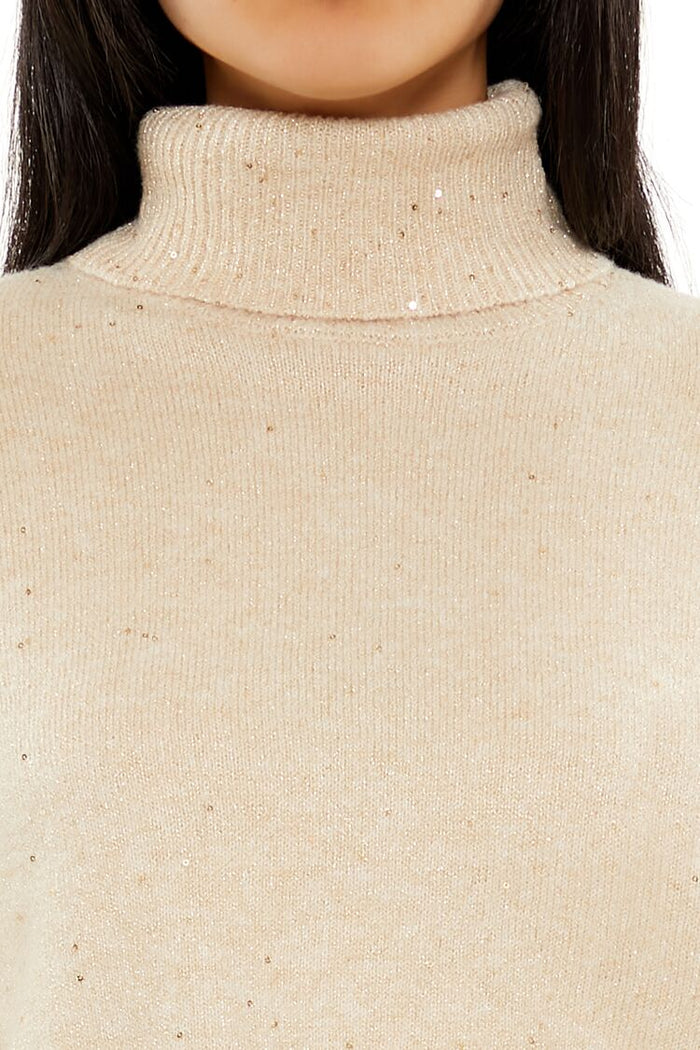 Glitter Knit Turtleneck Sweater