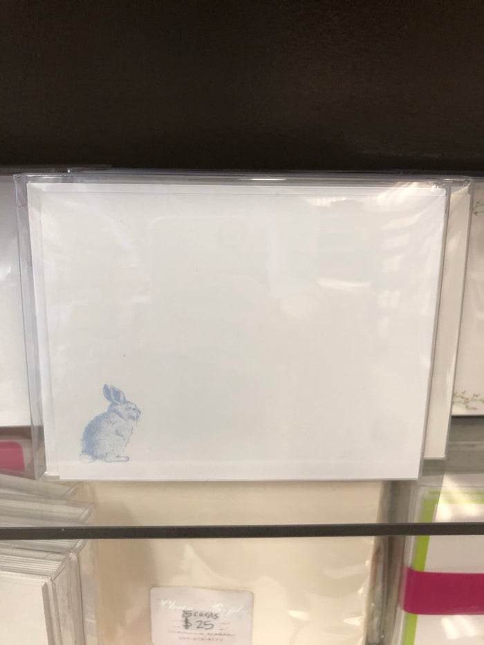 Cottontail Bunny - Carolina
