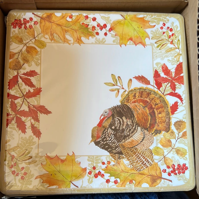 Paper Salad/Dessert Plates