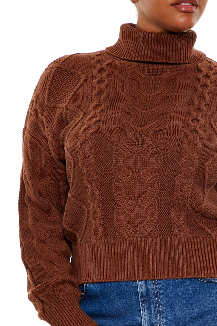 Plus Size Cable Knit Turtleneck Sweater