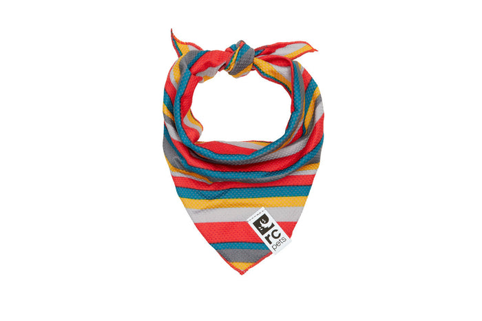 RC Pets Zephyr Cooling Bandanas for Dogs