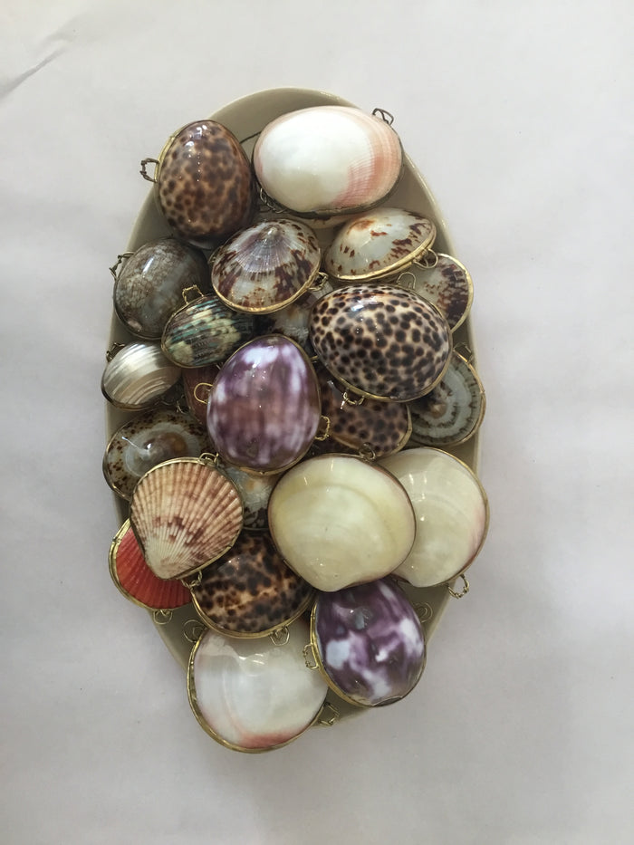 Shell Boxes