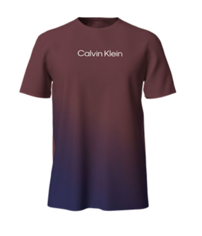 Short Sleeves Linear Logo Crew Tee