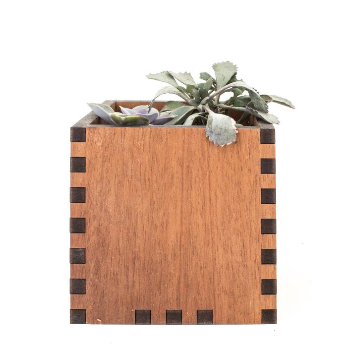 Mahogany