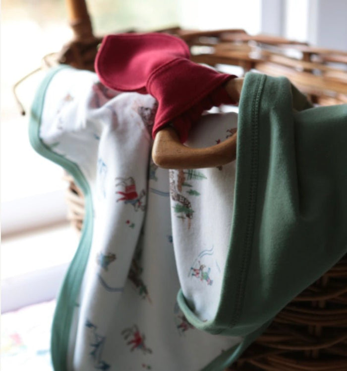 Baby swaddle blanket | mountain express finn + emma