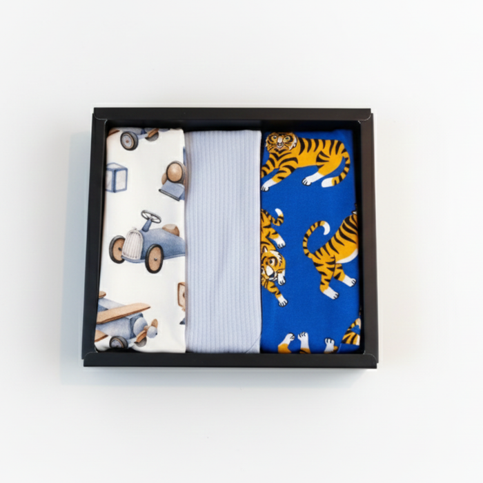The Perfect Trio - Bold & Blue