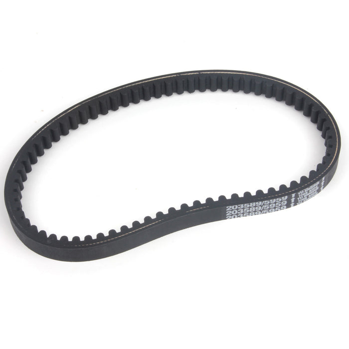Torque Converter Belt 203589