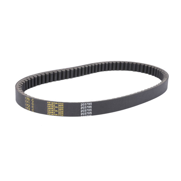 Torque Converter Belt 203785