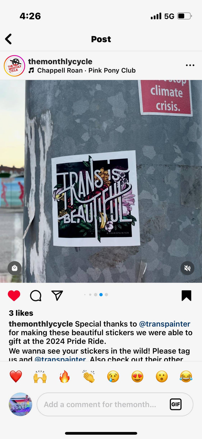Trans is Beautiful Sticker | Transgender Pride Stickers Set