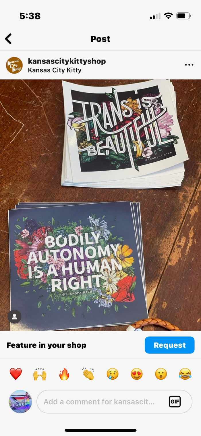 Trans is Beautiful Sticker | Transgender Pride Stickers Set