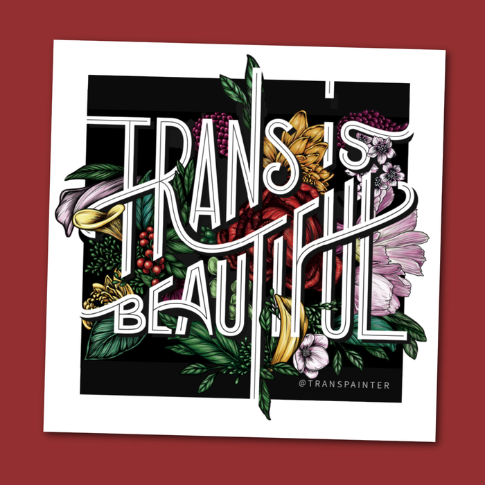 Trans is Beautiful Sticker | Transgender Pride Stickers Set