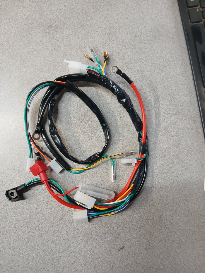 Universal Wiring Harness 50cc - 125cc Atv pit bike