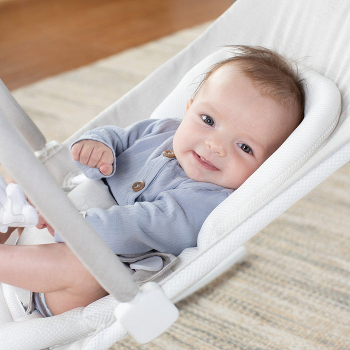 Alpine Wave Deluxe Bouncer - Driftwood Grey - Baby Delight