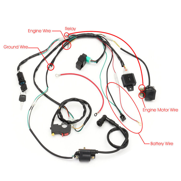 Wiring Harness 50cc to 110cc small quad, Pit Bike.