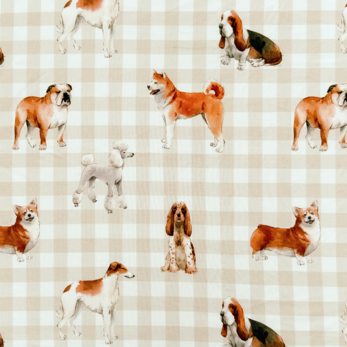 ZIPSTER™ Doggy Day Care